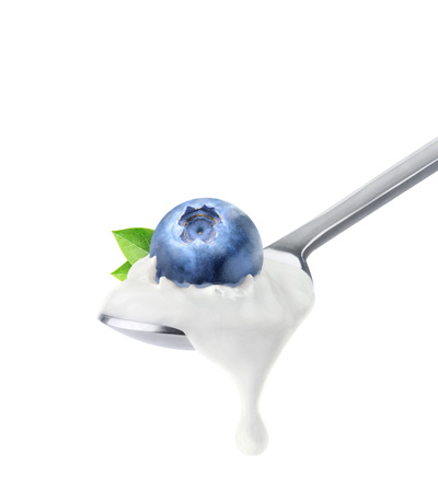 yogurtera
